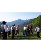 Adhésion à l'AMONT